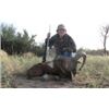 Image 2 : 5 Day Hunt for 3 hunters with Catena Safaris Argentina for 1 Blackbuck & 1 Ram (to be shared)