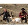 Image 1 : Wyoming - SCOLARI OUTFITTERS Antelope Hunt