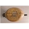 Image 4 : Antique Hand Carved Canvasback Duck Decoy