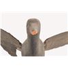 Image 2 : Antique Crow Decoy With Moveable Wings