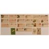 Image 1 : Winchester Advertising Envelope Collection