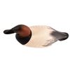 Image 2 : Canvasback Duck Decoy by Charlie Joiner