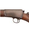 Image 8 : Deluxe Winchester Model 63 .22 Rifle
