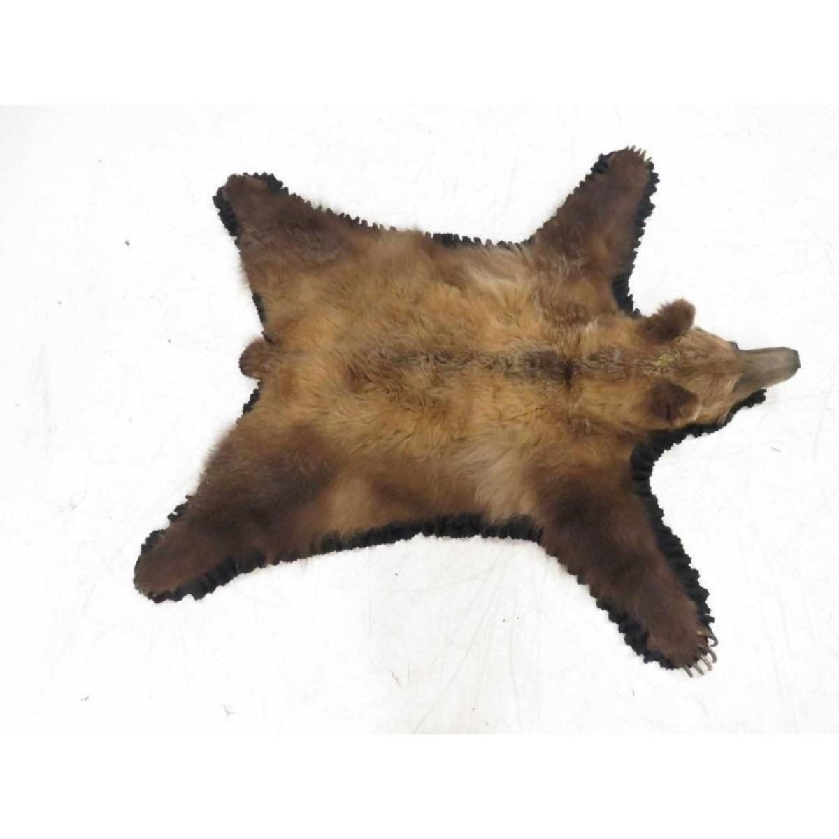 Bear Skin Rugs Without Head Bryont Blog