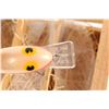 Image 4 : Display Box of Poe's Fishing Lures