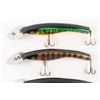 Image 3 : Lunge Locker Musky Lures