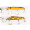 Image 3 : Woodie Musky Lures