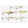 Image 3 : Unknown Frog Fishing Lures