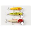 Image 7 : Musky Jitterbug