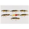 Image 10 : Bass-Buster Lures