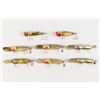 Image 2 : Bass-Buster Lures