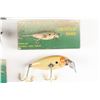 Image 6 : True Temper Shad