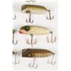 Image 4 : Paw Paw Lures