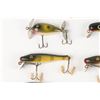 Image 6 : Paw Paw Lures