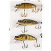 Image 3 : Paw Paw Lures