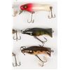 Image 4 : Paw Paw Lures