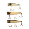 Image 1 : Darter Minnows