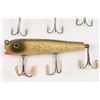 Image 2 : Darter Minnows