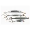 Image 2 : Marsh Minnows