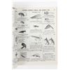 Image 15 : Fishing Related Catalogs