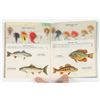 Image 7 : Fishing Related Catalogs