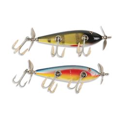 Creek Chub Injured Miinows