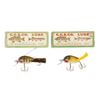 Image 1 : Creek Chub Dingbats