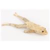 Image 4 : Bill Dempsey Carved Frog and Folk Art Lot