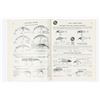 Image 4 : AL&W Fishing Catalogs