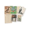Image 1 : Assorted Fishing Catalogs