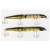Image 4 : Creek Chub Giant Pikies