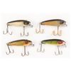 Image 8 : Heddon Glass Eye River Runts