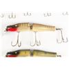 Image 4 : AWS Baits