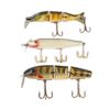 Image 1 : DAM Baits