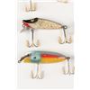 Image 2 : Paw Paw and Shakespeare Lures