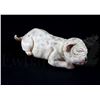 Image 1 : † 102 Dalmatians (2000) A newborn Dalmatian puppy stand-in. used during production for the sequence 