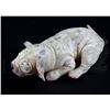 Image 2 : † 102 Dalmatians (2000) A newborn Dalmatian puppy stand-in. used during production for the sequence 