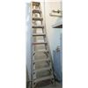 Image 1 : Werner Ladder, 10 Foot
