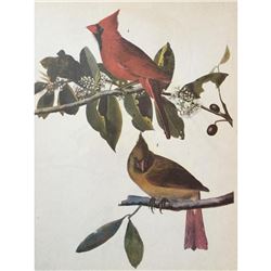 c1946 Audubon Print, #159 Cardinal