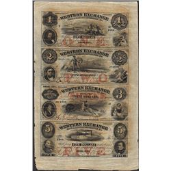 Uncut Sheet of 1857 Western Exchange Fire & Marine Insurance Co. Obsolete Notes