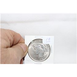 U.S.A. Dollar Coin (1)