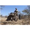 Image 10 : Limpopo Plains Game hunt for 4