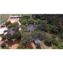 Limpopo Plains Game hunt for 4