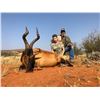 Image 6 : Northern Cape hunt for 4