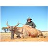 Image 7 : Unique Northen Cape hunt