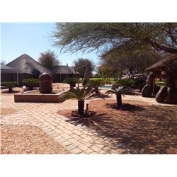 10 Day Limpopo hunt for two