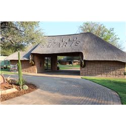 Limpopo Plains game hunt