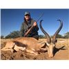 Image 2 : Namibia Plains Game hunt