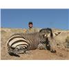 Image 3 : Namibia Plains Game hunt