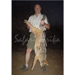 10 Day South African Night Hunt for Two Hunters